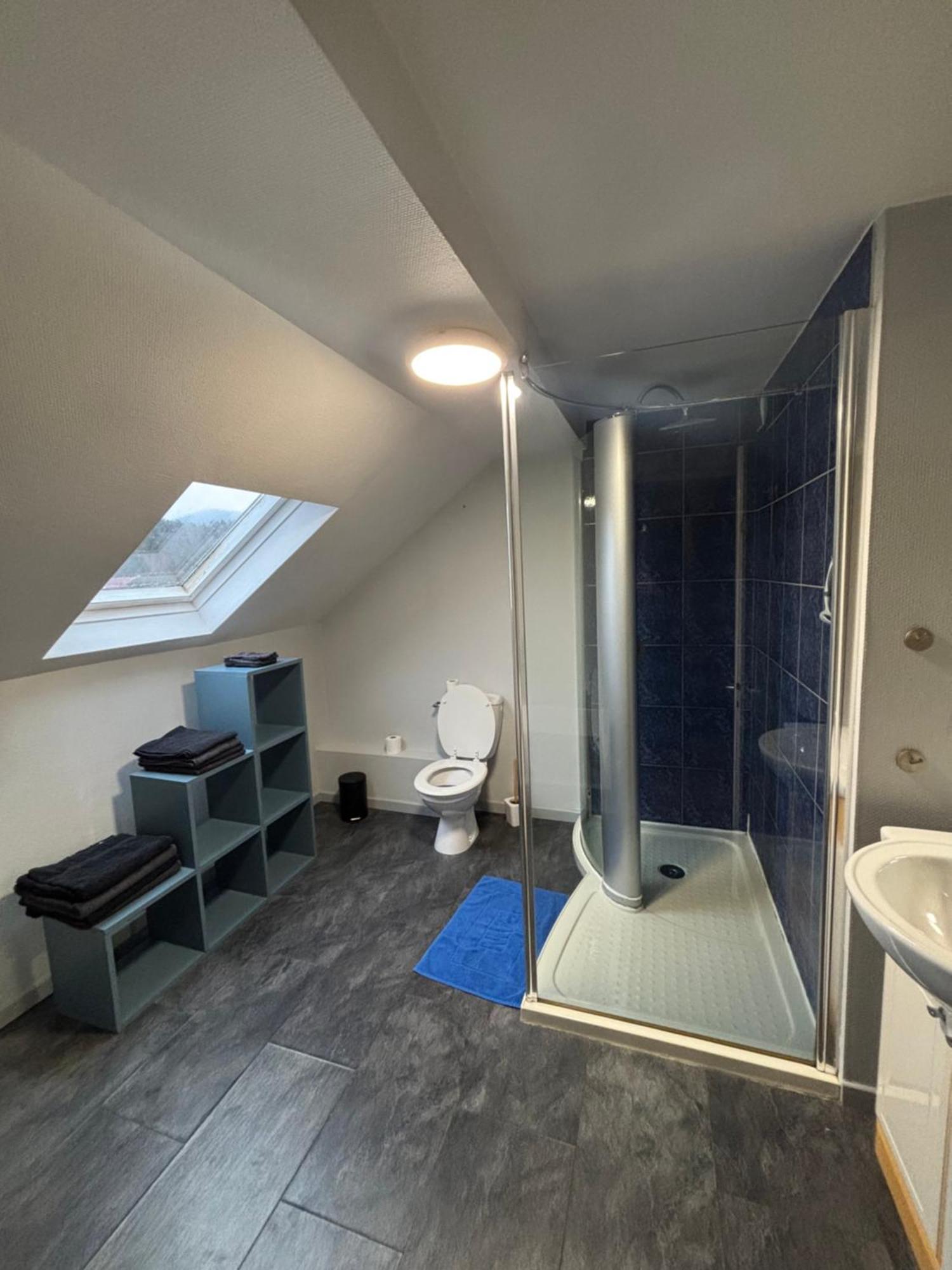 Gite 205 M2, 8Pers Piscine, Jacuzzi, Balneo Privatifs Vagney Buitenkant foto