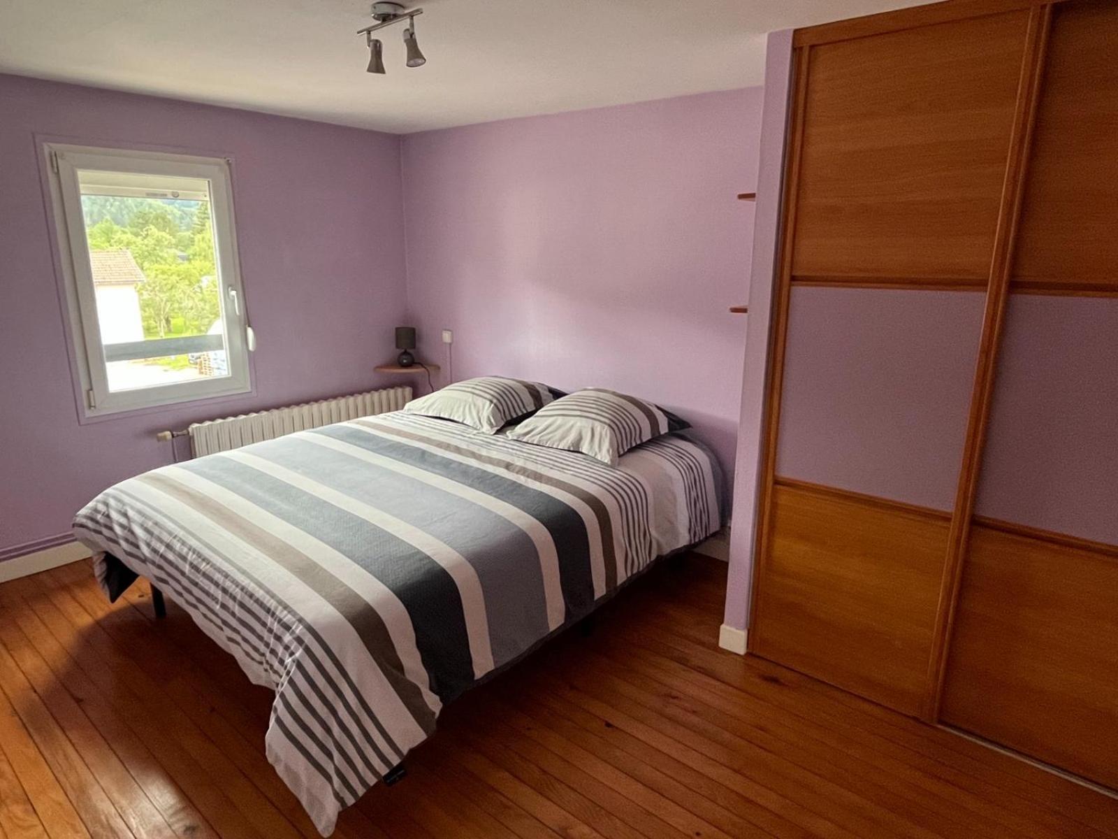 Gite 205 M2, 8Pers Piscine, Jacuzzi, Balneo Privatifs Vagney Buitenkant foto
